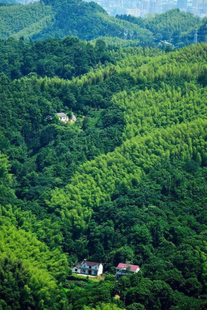 杭州莫干山，生态旅游与文化保护的新篇章