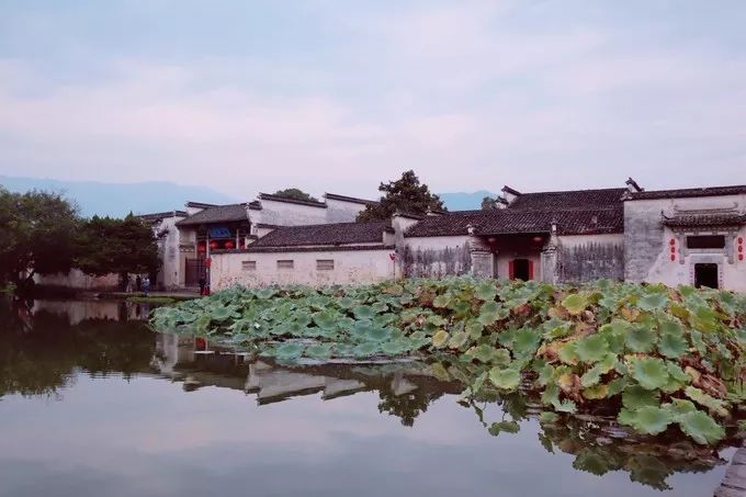 杭州雨夜，江南美女与诗意画卷的完美融合