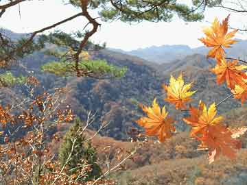 杭州九月生活，秋日里的甜蜜蛋糕记忆