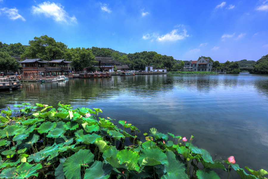 杭州太子湾美景与佳人，一幅幅动人画面