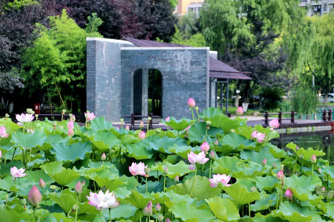 杭州大学新闻，校园动态与学术前沿概览