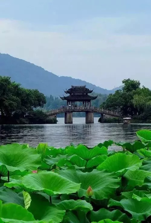 西湖边的诗意风情，杭州撑伞美女的优雅瞬间