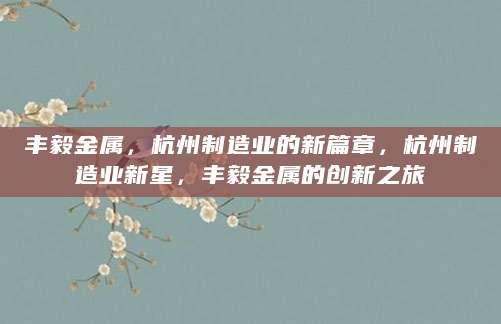 丰毅金属，杭州制造业的新篇章，杭州制造业新星，丰毅金属的创新之旅