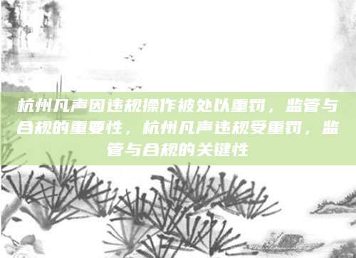 杭州凡声因违规操作被处以重罚，监管与合规的重要性，杭州凡声违规受重罚，监管与合规的关键性