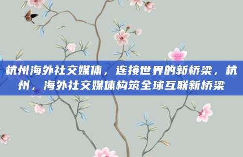 杭州海外社交媒体，连接世界的新桥梁，杭州，海外社交媒体构筑全球互联新桥梁