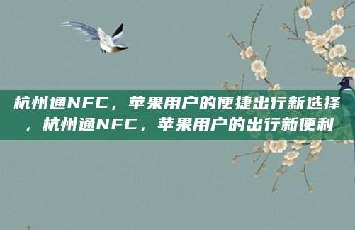 杭州通NFC，苹果用户的便捷出行新选择，杭州通NFC，苹果用户的出行新便利