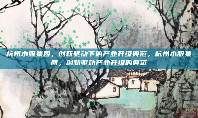 杭州小服集团，创新驱动下的产业升级典范，杭州小服集团，创新驱动产业升级的典范