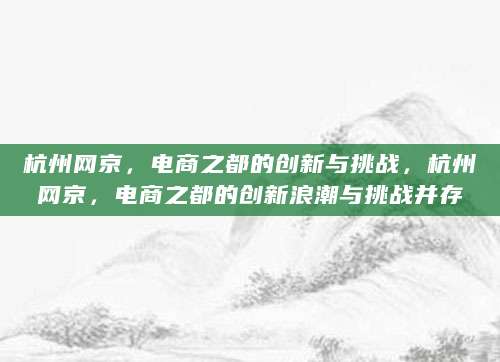 杭州网京，电商之都的创新与挑战，杭州网京，电商之都的创新浪潮与挑战并存